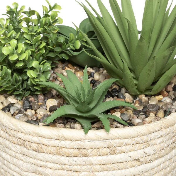 Изкуствено растение atmosphera Hacienda, 19 cm