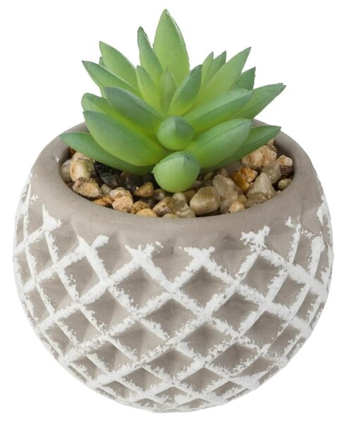 Изкуствено растение atmosphera Succulent, 9 cm, Различни видове