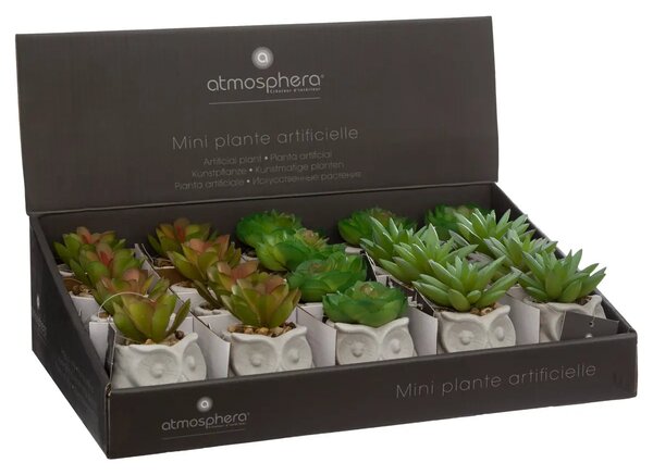 Изкуствено растение atmosphera Succulent, 8 cm, Различни видове