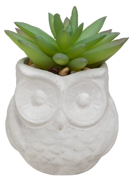 Изкуствено растение atmosphera Succulent, 8 cm, Различни видове