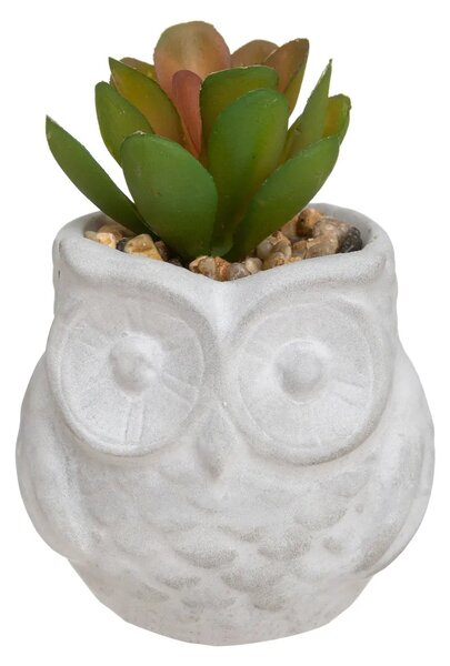 Изкуствено растение atmosphera Succulent, 8 cm, Различни видове