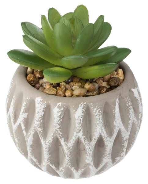 Изкуствено растение atmosphera Succulent, 9 cm, Различни видове