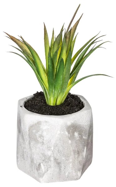 Изкуствено растение atmosphera Succulent, 14 cm, Различни видове