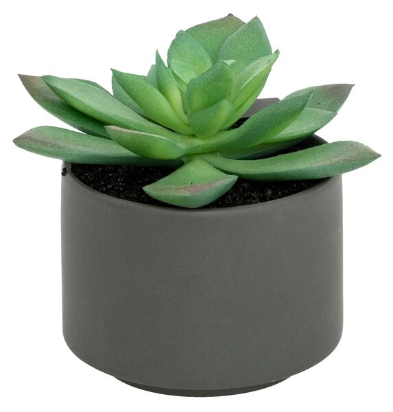 Изкуствено растение atmosphera Succulent, 13 cm, Различни видове