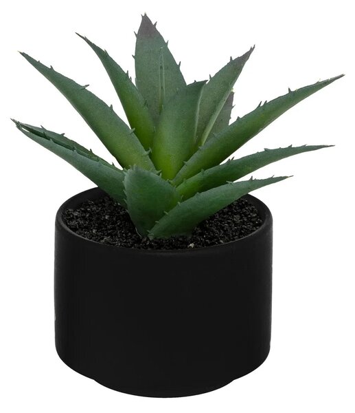 Изкуствено растение atmosphera Succulent, 13 cm, Различни видове