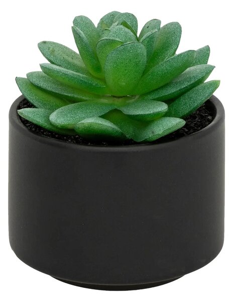 Изкуствено растение atmosphera Succulent, 13 cm, Различни видове