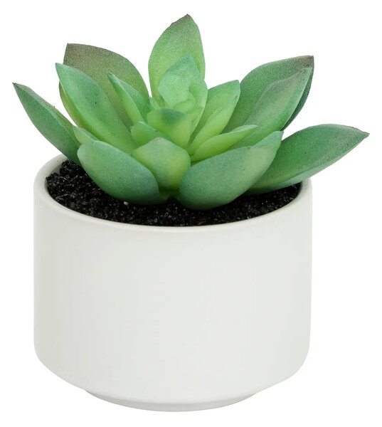 Изкуствено растение atmosphera Succulent, 13 cm, Различни видове