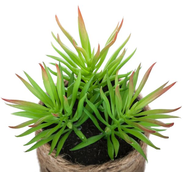 Изкуствено растение atmosphera, 16 cm, Различни видове