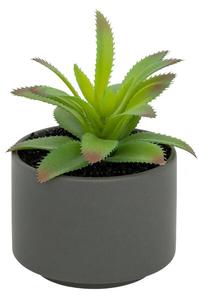 Изкуствено растение atmosphera Succulent, 13 cm, Различни видове