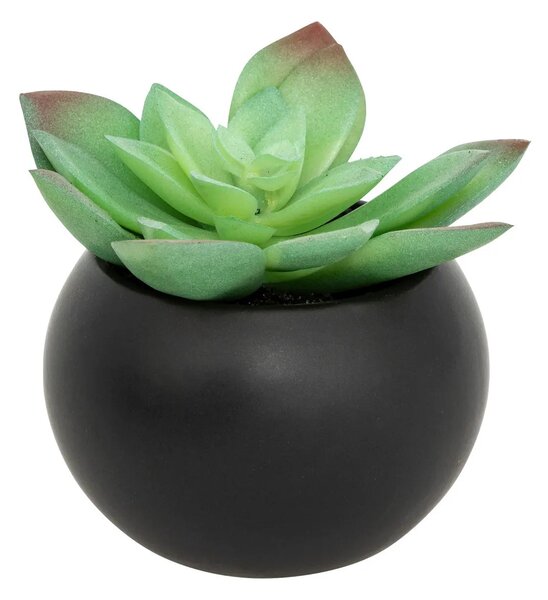 Изкуствено растение atmosphera Succulent, 13 cm, Различни видове