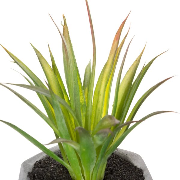 Изкуствено растение atmosphera Succulent, 14 cm, Различни видове