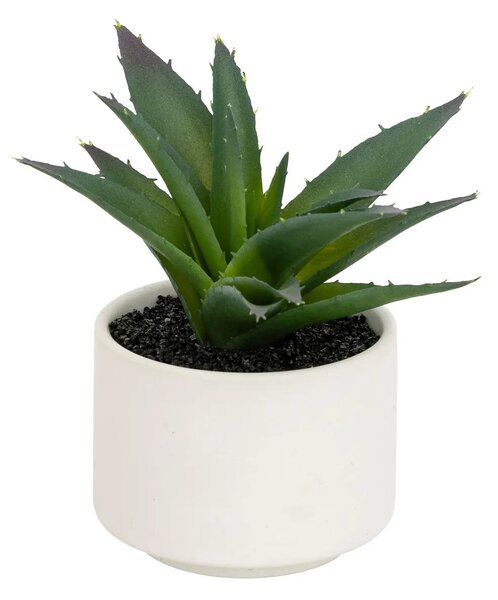 Изкуствено растение atmosphera Succulent, 13 cm, Различни видове
