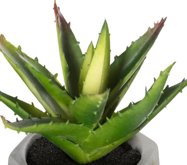 Изкуствено растение atmosphera Succulent, 14 cm, Различни видове