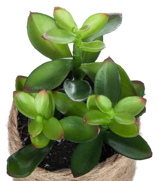 Изкуствено растение atmosphera, 16 cm, Различни видове