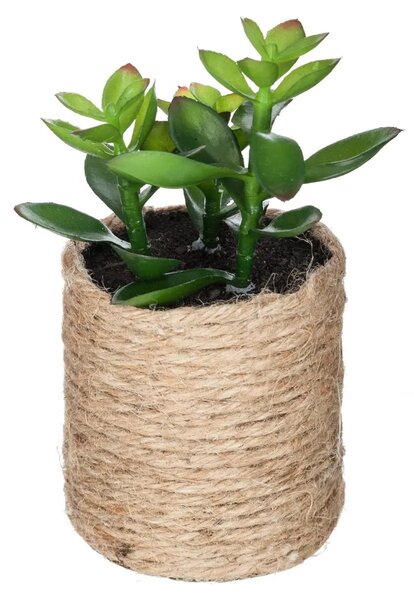 Изкуствено растение atmosphera, 16 cm, Различни видове
