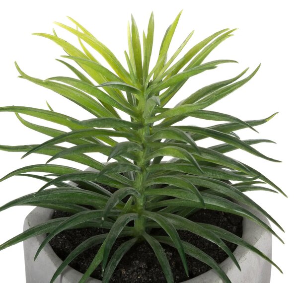 Изкуствено растение atmosphera Succulent, 14 cm, Различни видове