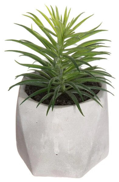 Изкуствено растение atmosphera Succulent, 14 cm, Различни видове