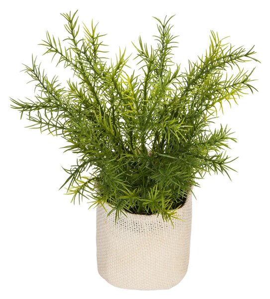 Изкуствено растение atmosphera Factory, 25 cm, Различни видове