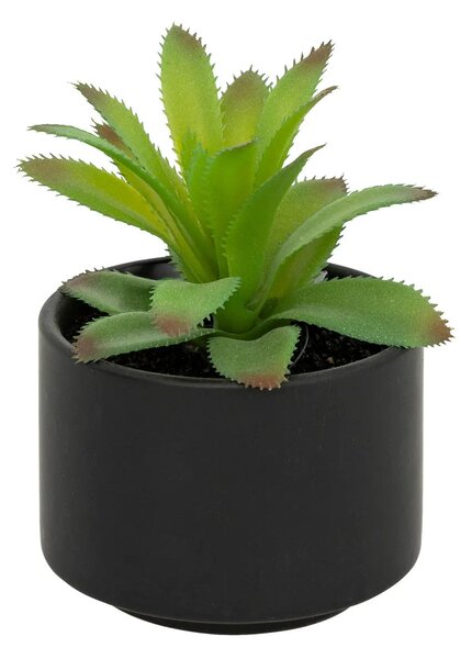 Изкуствено растение atmosphera Succulent, 13 cm, Различни видове