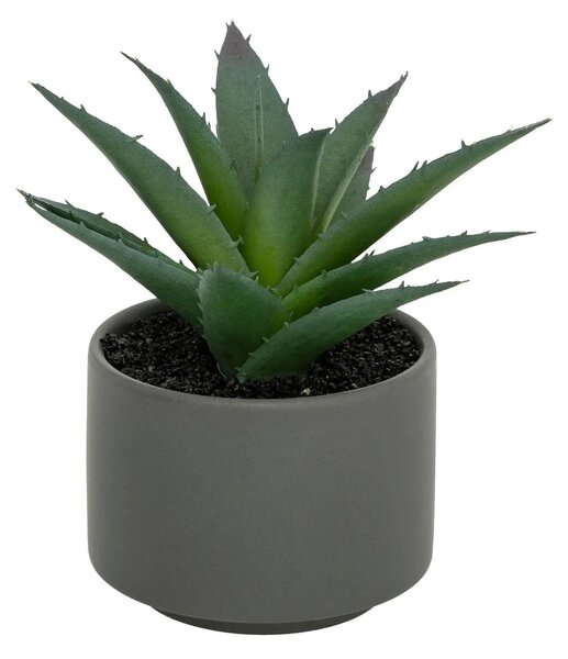 Изкуствено растение atmosphera Succulent, 13 cm, Различни видове