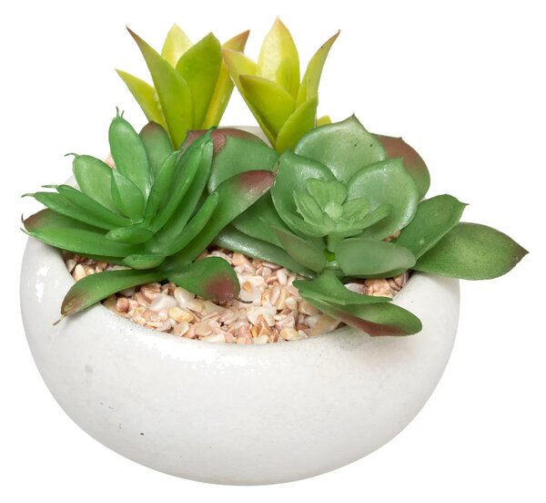 Изкуствено растение atmosphera Succulent, 10 cm, Различни видове