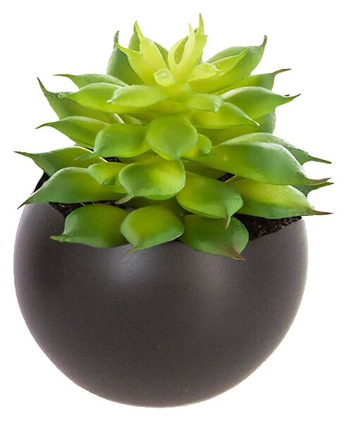 Изкуствено растение atmosphera Succulent, 6 cm, Различни видове