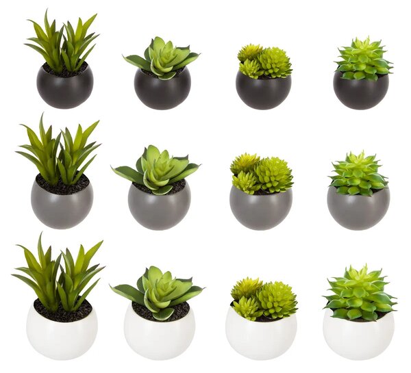 Изкуствено растение atmosphera Succulent, 6 cm, Различни видове