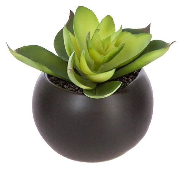 Изкуствено растение atmosphera Succulent, 6 cm, Различни видове