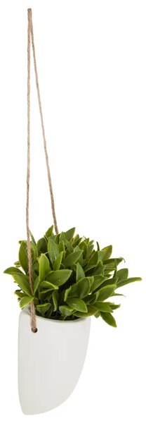 Изкуствено растение atmosphera Hanging, 20 cm, Различни видове
