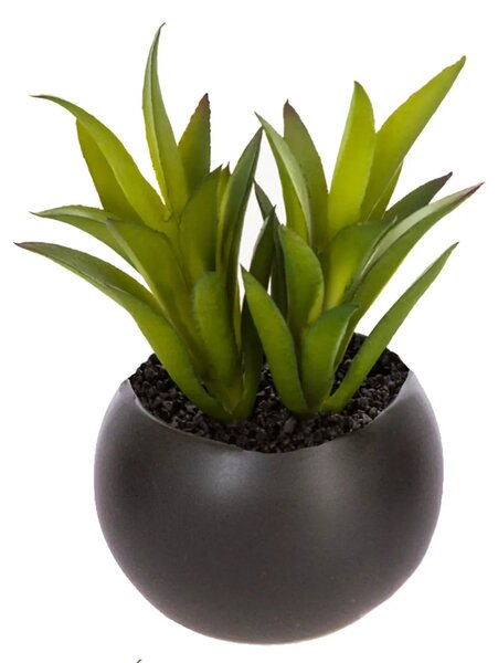 Изкуствено растение atmosphera Succulent, 6 cm, Различни видове