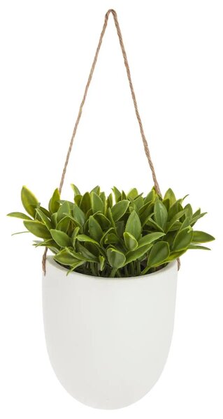 Изкуствено растение atmosphera Hanging, 20 cm, Различни видове