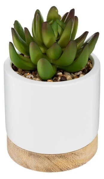 Изкуствено растение atmosphera Succulent, 12 cm, Различни видове