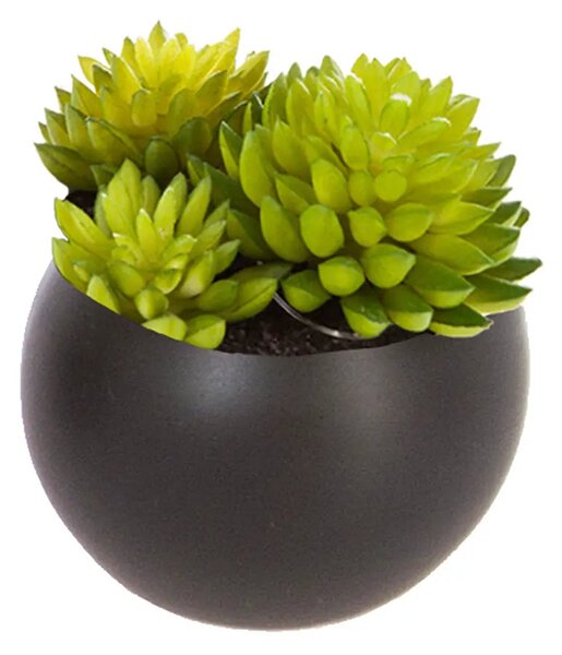 Изкуствено растение atmosphera Succulent, 6 cm, Различни видове
