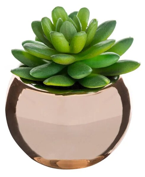 Изкуствено растение atmosphera, 15 cm, Различни видове