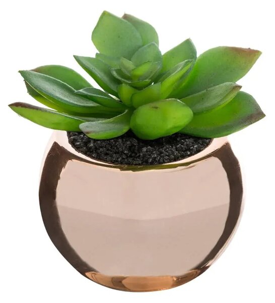 Изкуствено растение atmosphera, 15 cm, Различни видове