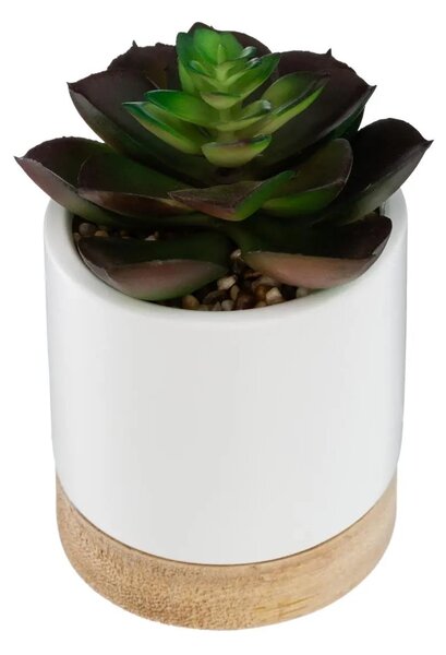 Изкуствено растение atmosphera Succulent, 12 cm, Различни видове