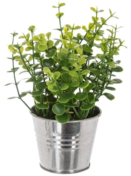 Изкуствено растение atmosphera, 17 cm, Различни видове