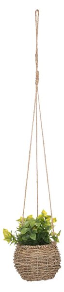 Изкуствено растение atmosphera Zoе, 17 cm, Различни видове