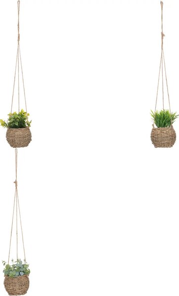 Изкуствено растение atmosphera Zoе, 17 cm, Различни видове