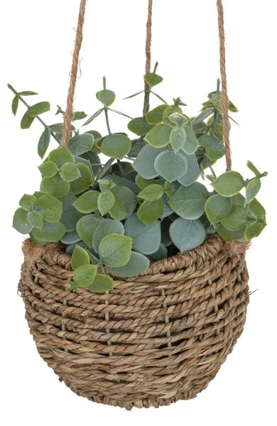 Изкуствено растение atmosphera Zoе, 17 cm, Различни видове