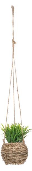 Изкуствено растение atmosphera Zoе, 17 cm, Различни видове