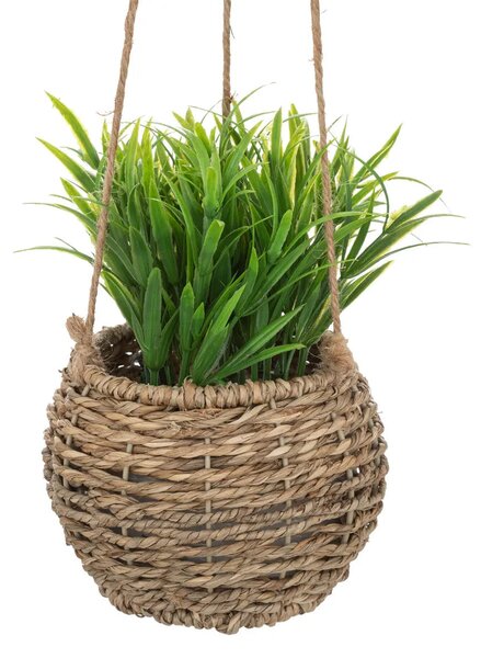 Изкуствено растение atmosphera Zoе, 17 cm, Различни видове