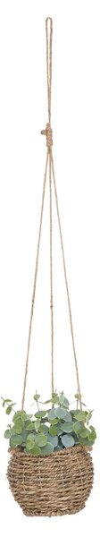 Изкуствено растение atmosphera Zoе, 17 cm, Различни видове