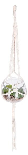 Изкуствено растение atmosphera Nomade, 10 cm