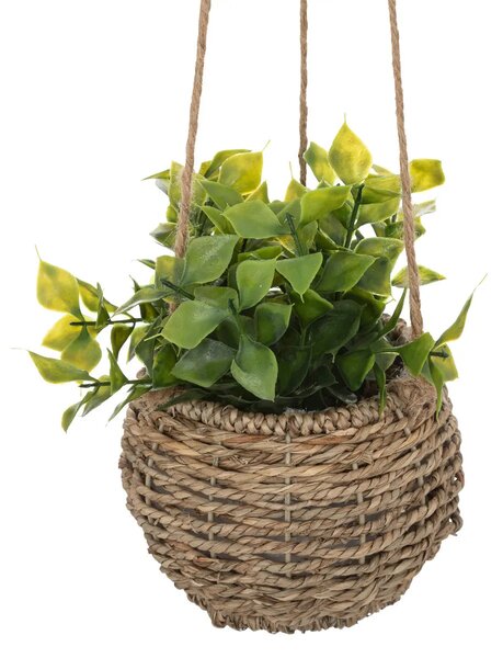 Изкуствено растение atmosphera Zoе, 17 cm, Различни видове
