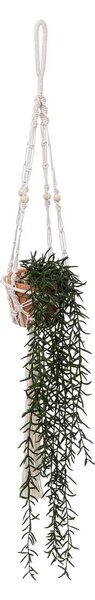 Изкуствено растение atmosphera Ali, 90 cm