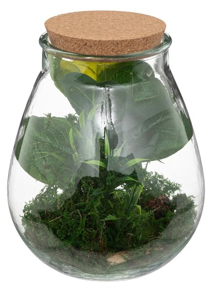 Изкуствено растение atmosphera Botanic Terrarium, 29.5 cm