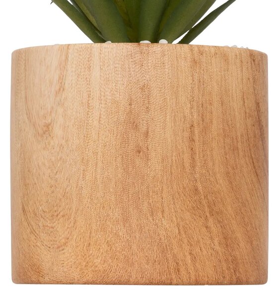 Изкуствено растение atmosphera Sao, 17.5 cm