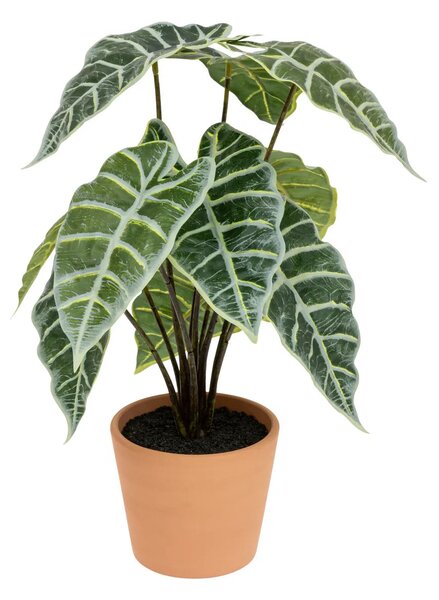 Изкуствено растение atmosphera Soleya Alocasia, 43 cm