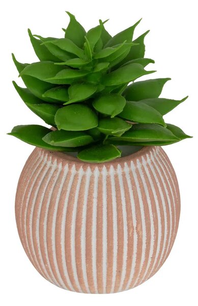 Изкуствено растение atmosphera Ubi Succulent, 7 cm, Различни видове